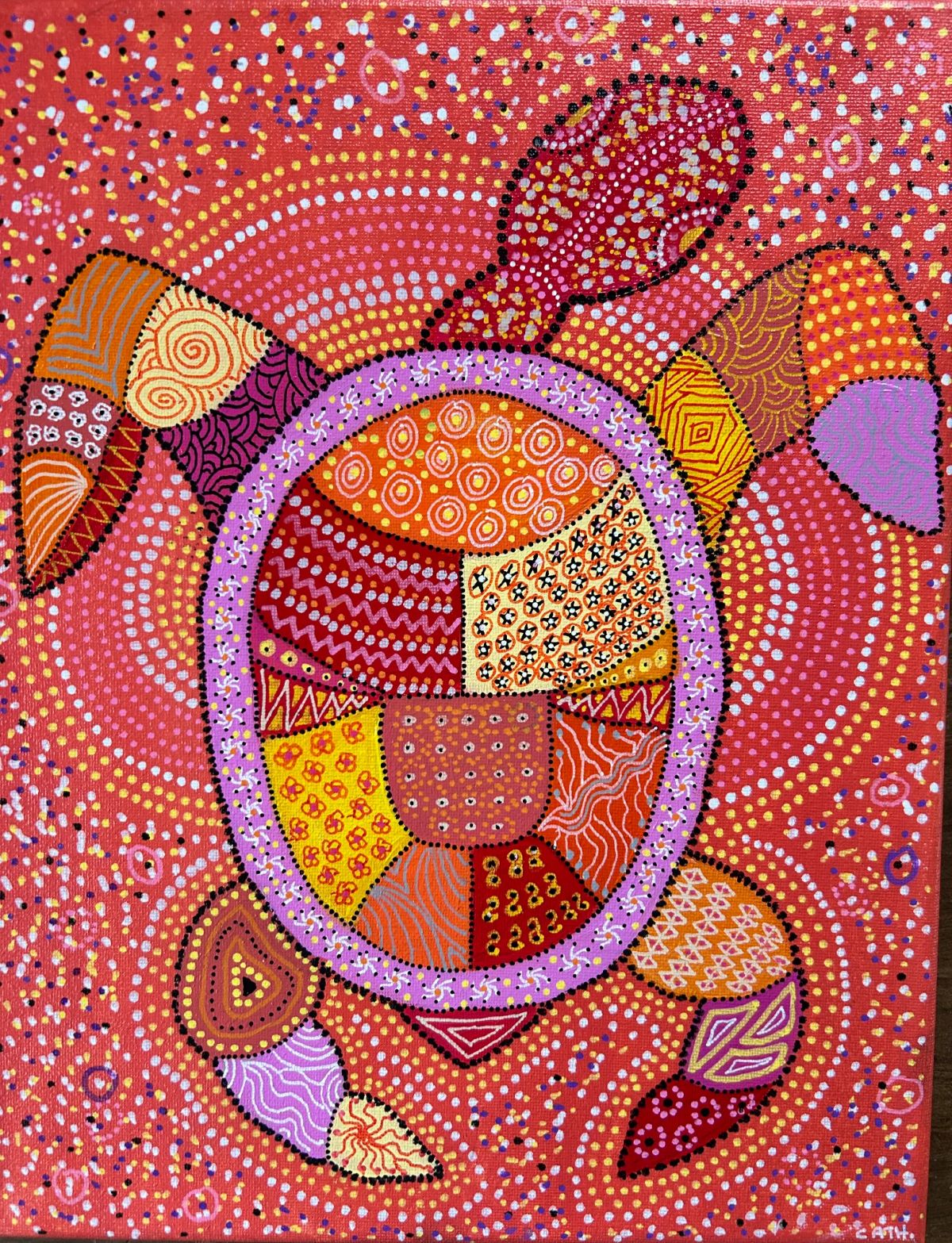 Aurora, la tortue corail