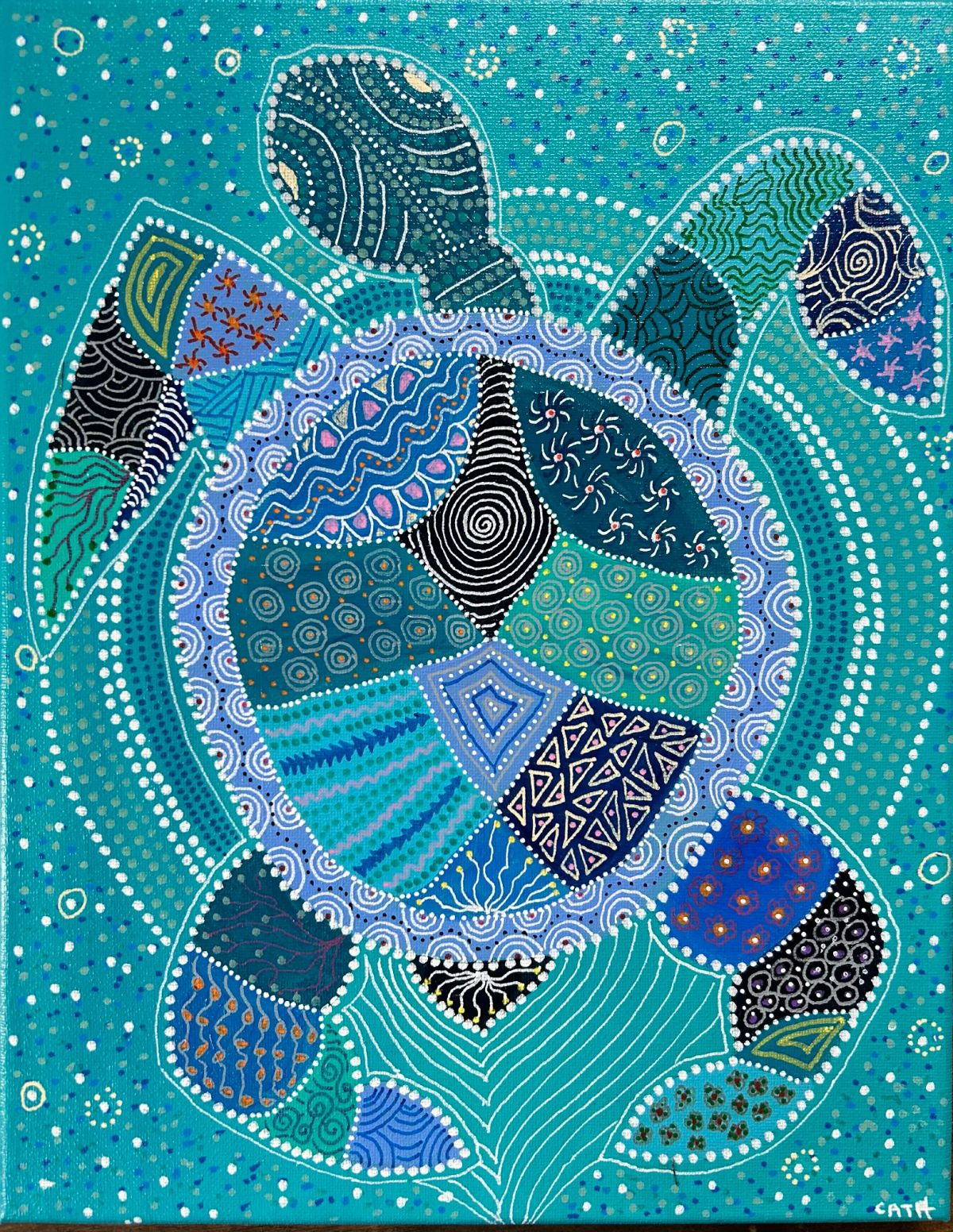 Laguna, la tortue turquoise